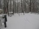 DSCN0801.JPG